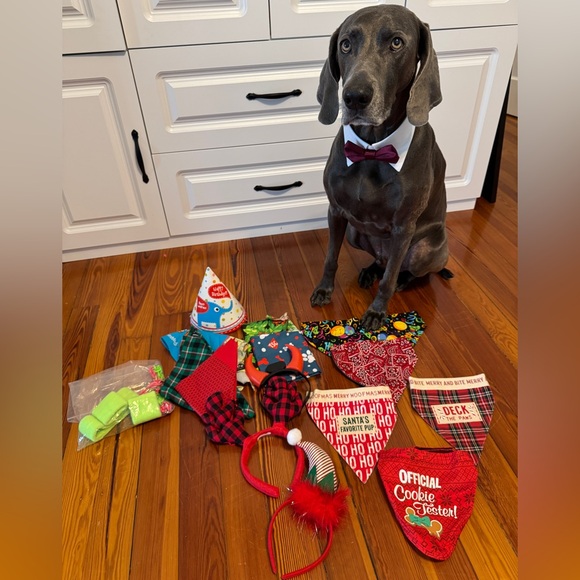 Other - Bundle of Dog Bandanas & Accessories Set Please Send Kibble